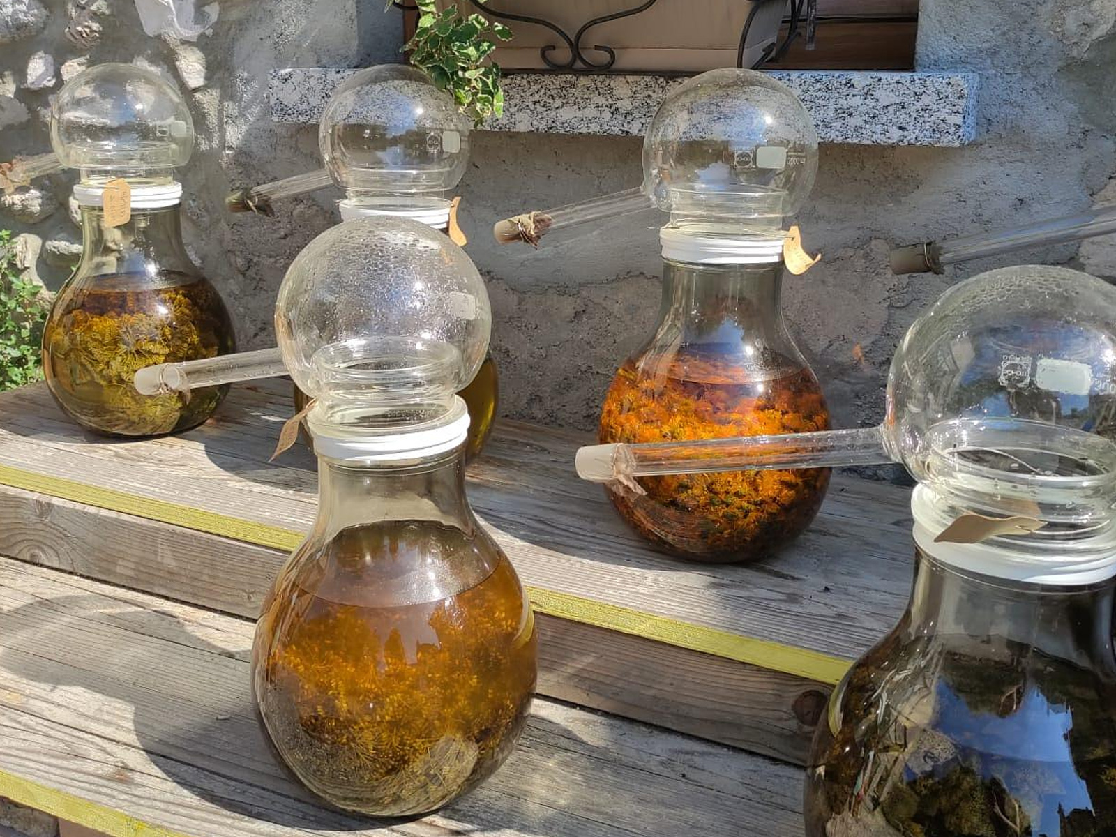 LA NATURA DI OLTRELARIO