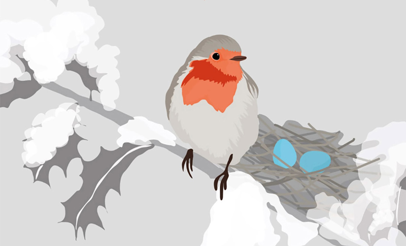 malattie rare pediatriche - il nido del pettirosso