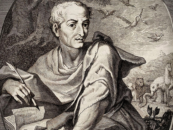 Meraviglie e delizie un viaggio nel tempo con Plinio il Vecchio